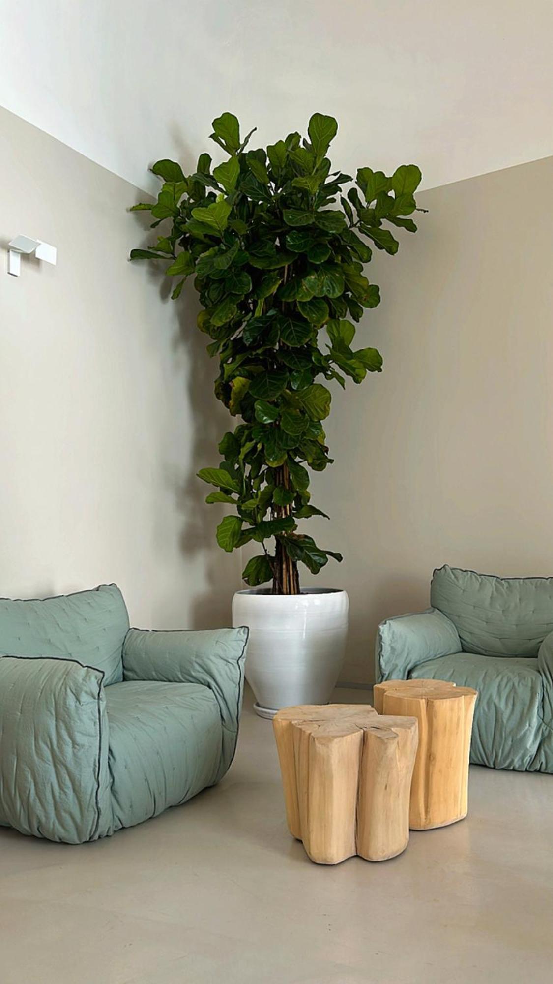 Bed and Breakfast Palazzo Console Lecce Esterno foto